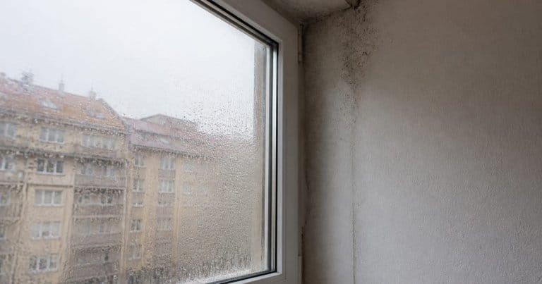 Condensación acumulada en una ventana y humedad en la esquina de la pared.